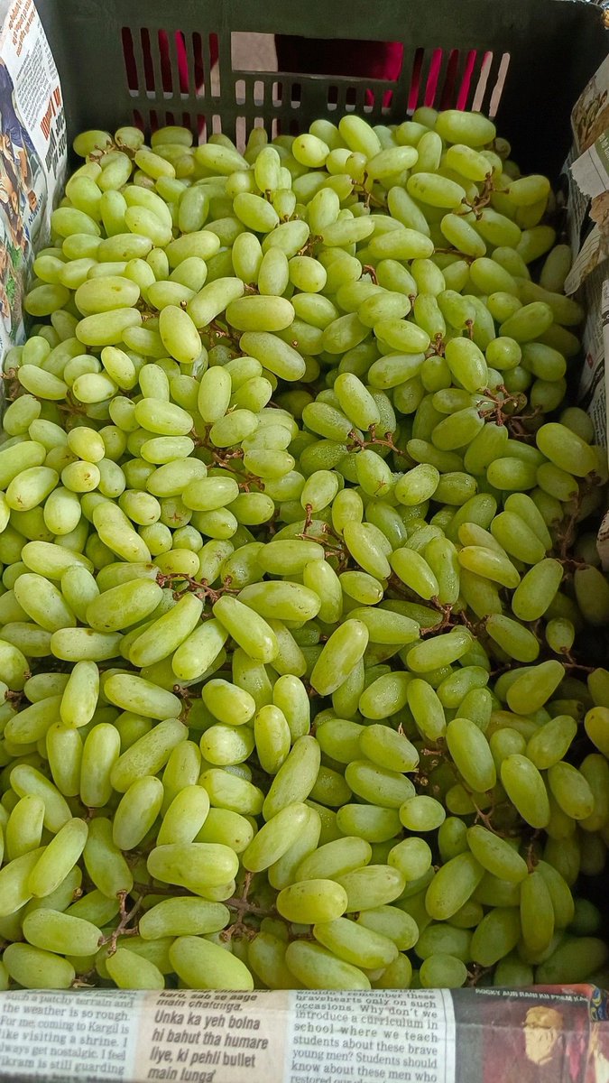 Can you identify this fruit?