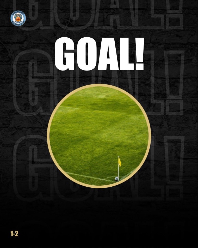 Bedlington pull one back