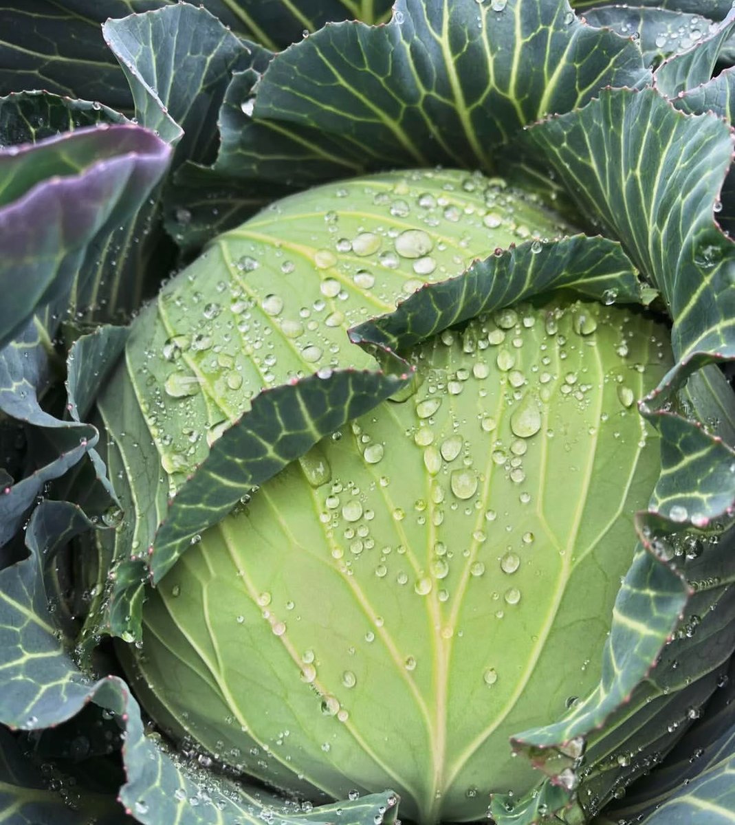 aatomoyaaa's tweet image. 親父ー！見てるかーー！！！

約6年前に
『お前に農家なんてできる訳ないやろ
なにも無いのに』って言ってたけど
もうすぐ丸6年経つぞぉ！！！

何回も寝れない日もあったり、
投げ出したくなったけど...

俺！なんとか農家で飯食ってるぞ！！