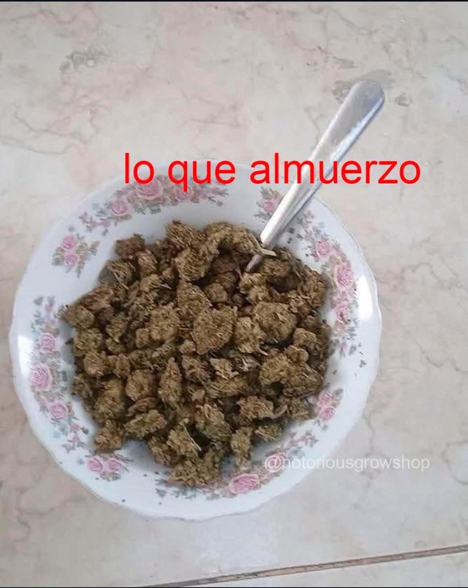 Elparaguayo1231's tweet photo. https://t.co/0nCYvl7cld