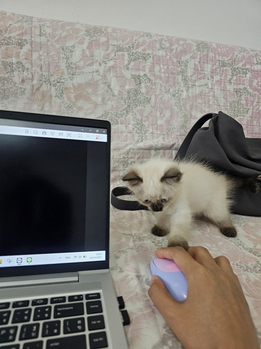 Jirap_tu's tweet image. เห็นแม่ทำงานก็อยากจะช่วย จะได้มาเล่นกับหนูต่อ