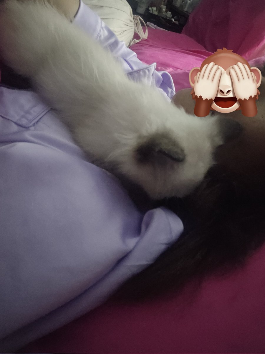 Jirap_tu's tweet image. ก่อนนอนต้องมาซบแม่ก่อน แล้วก็นอนหลับไปบนไหล่แบบนี้ทุกคืน
ลูกสาวแม่