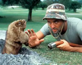 🏇 AmWager 🏇 (@amwager) on Twitter photo American fan favorite Carl Spackler might have his work cut out for him today in the upcoming <a href="/WorldPool/">World Pool</a> event the $1.4 Million Queen Elizabeth Stakes <a href="/ChampionsDay/">ChampionsDay</a> <a href="/Ascot/">Ascot Racecourse</a>! Jockey William Buick takes on a field of 15 other entrants with stablemate & ML favorite Field of Gold for American fan favorite Carl Spackler might have his work cut out for him today in the upcoming <a href="/WorldPool/">World Pool</a> event the $1.4 Million Queen Elizabeth Stakes <a href="/ChampionsDay/">ChampionsDay</a> <a href="/Ascot/">Ascot Racecourse</a>! Jockey William Buick takes on a field of 15 other entrants with stablemate & ML favorite Field of Gold for