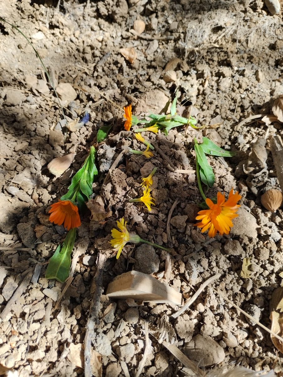 Kalbimin en derinlerinde her zaman yaşayacaksın..