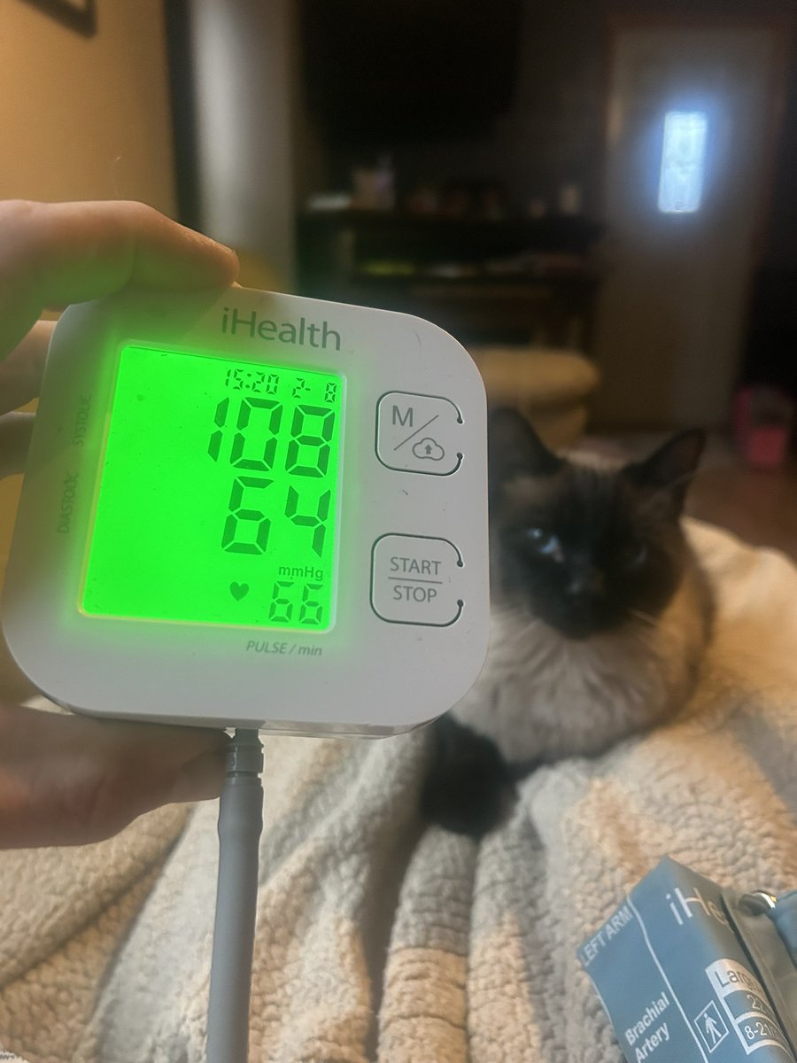 Zachary (@zachhan25148246) on Twitter photo Check your blood pressure on a regular basis. High blood pressure causes tremendous strain on your organs, and can even lead to death. Check your blood pressure on a regular basis. High blood pressure causes tremendous strain on your organs, and can even lead to death.