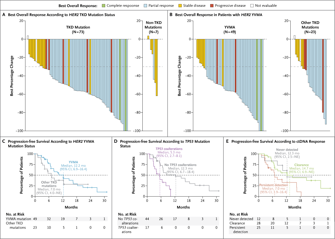 SOHO-01 NEJM figure — subgroup analyses: HER2 TKD and YVMA status, TP53 co-alterations, and ctDNA response