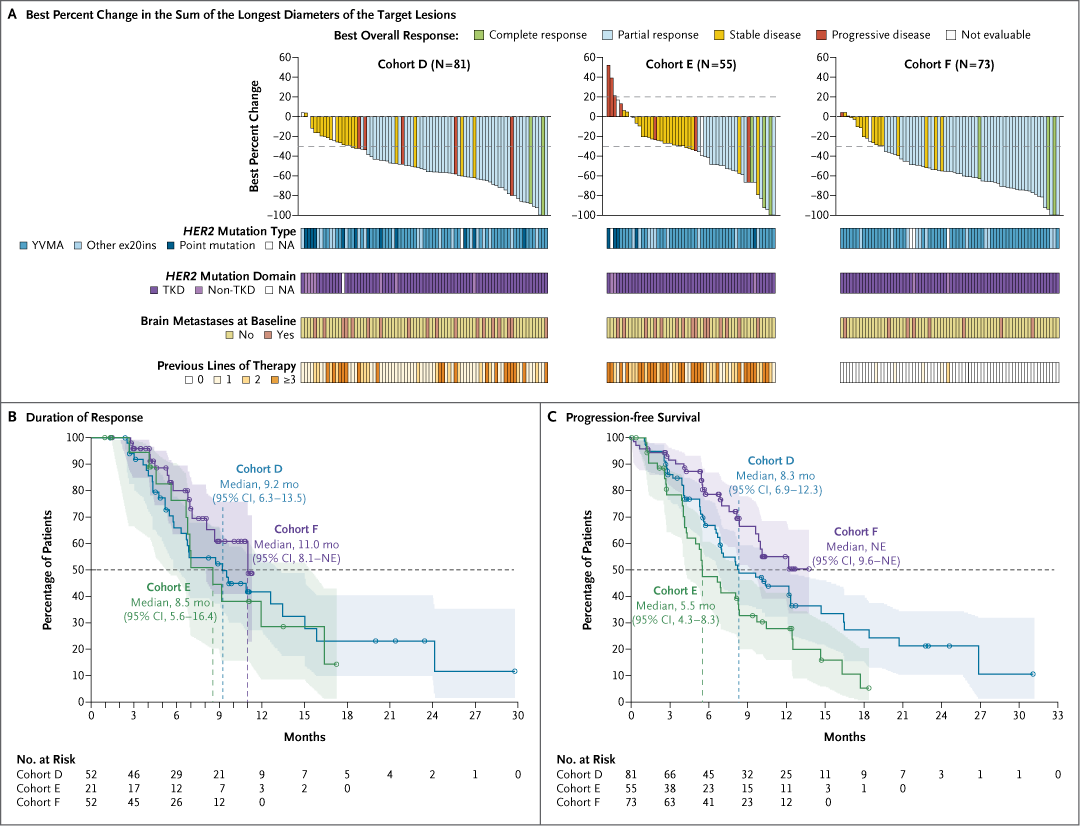 SOHO-01 NEJM figure — best percent change waterfalls and DoR/PFS Kaplan-Meier curves for cohorts D, E and F