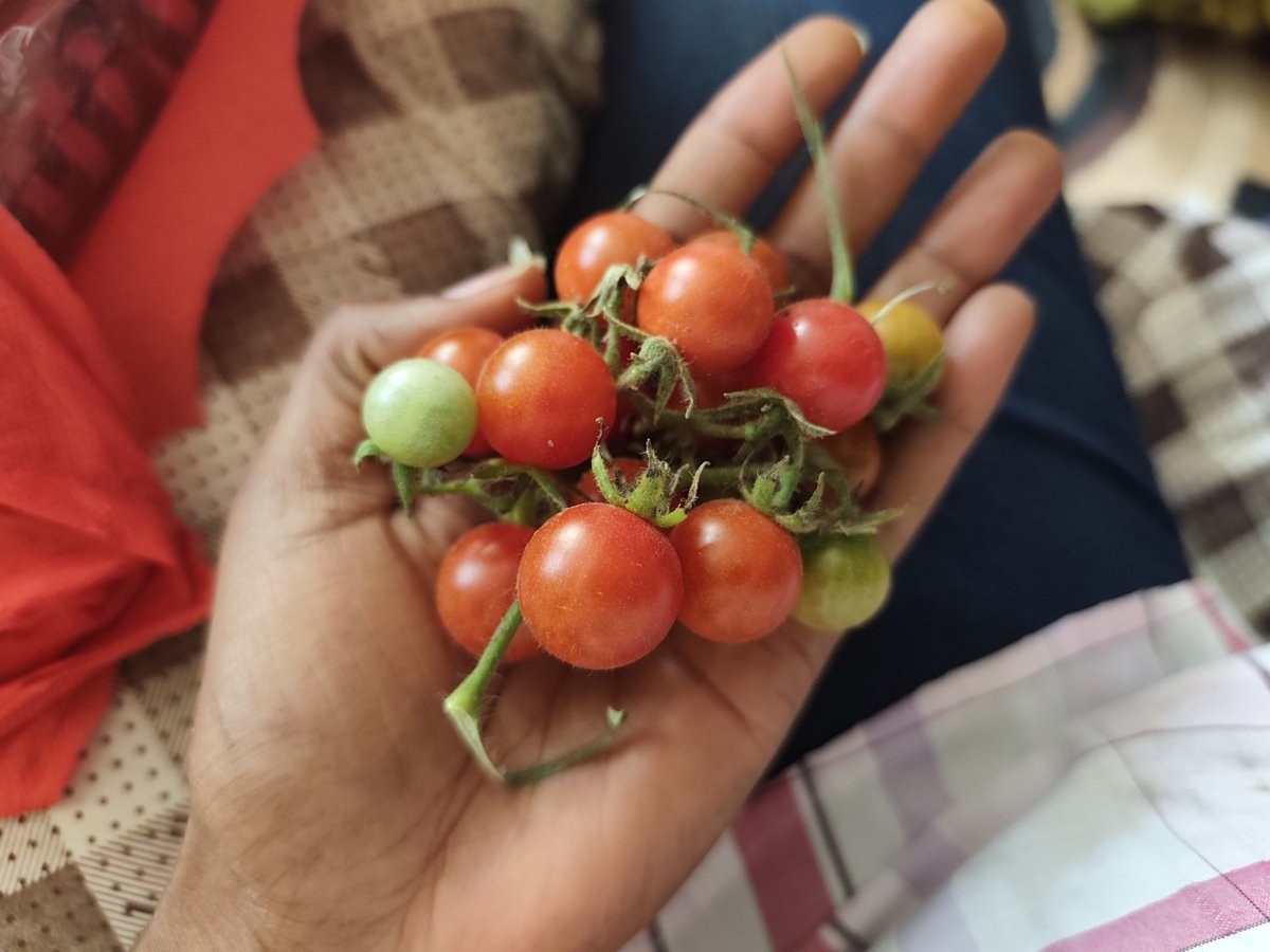 Moh_Mumbi's tweet photo. We must reject the Land Law. We must be free to grow our food without globalists control 

#RejectLandLaw https://t.co/Zlm7IlnRhc
