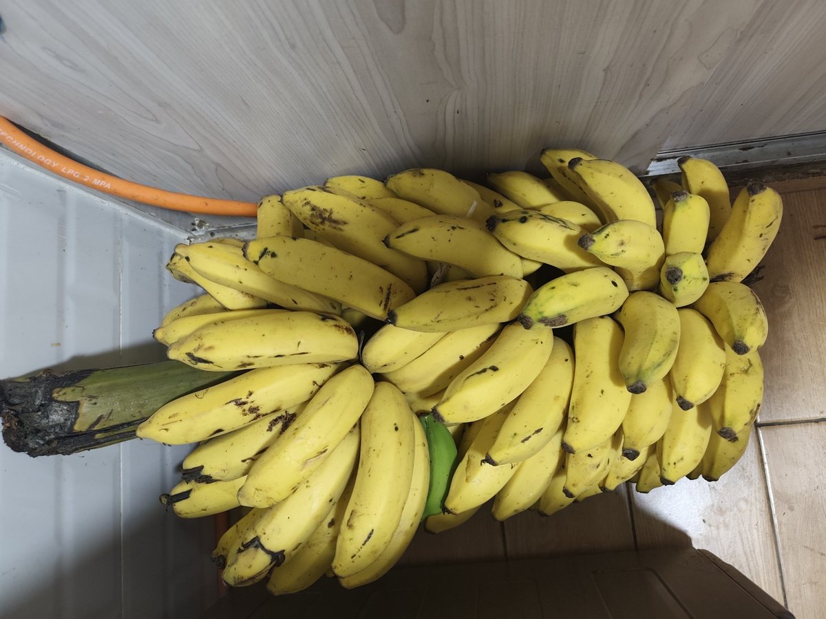 We must reject the Land Law. We must be free to grow our food without globalists control 

#RejectLandLaw