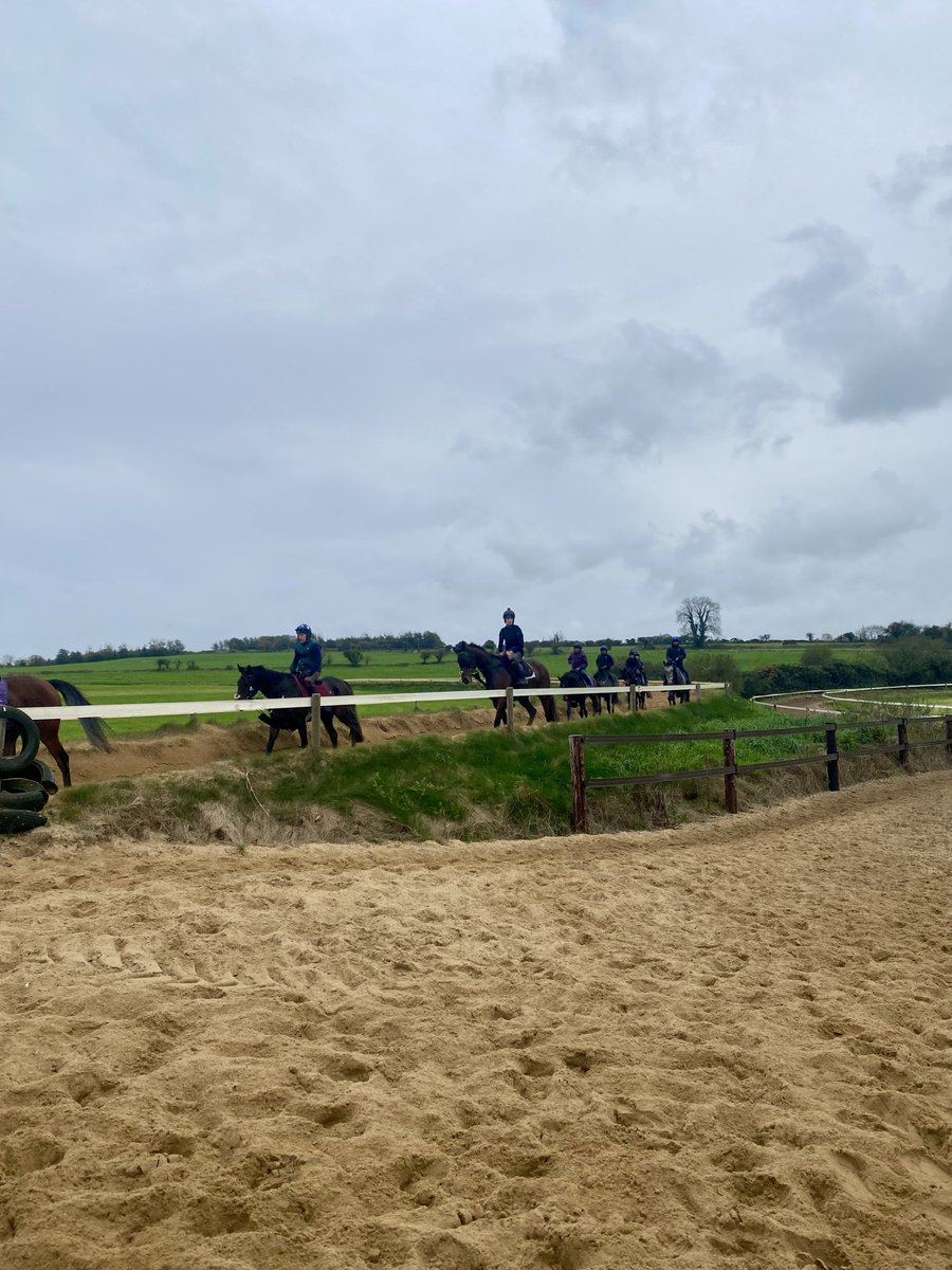 On the gallop at Knockeen

<a href="/HenrydeBromhead/">Henry de Bromhead</a> | <a href="/PimlicoRacing/">Pimlico Racing Syndicates</a>