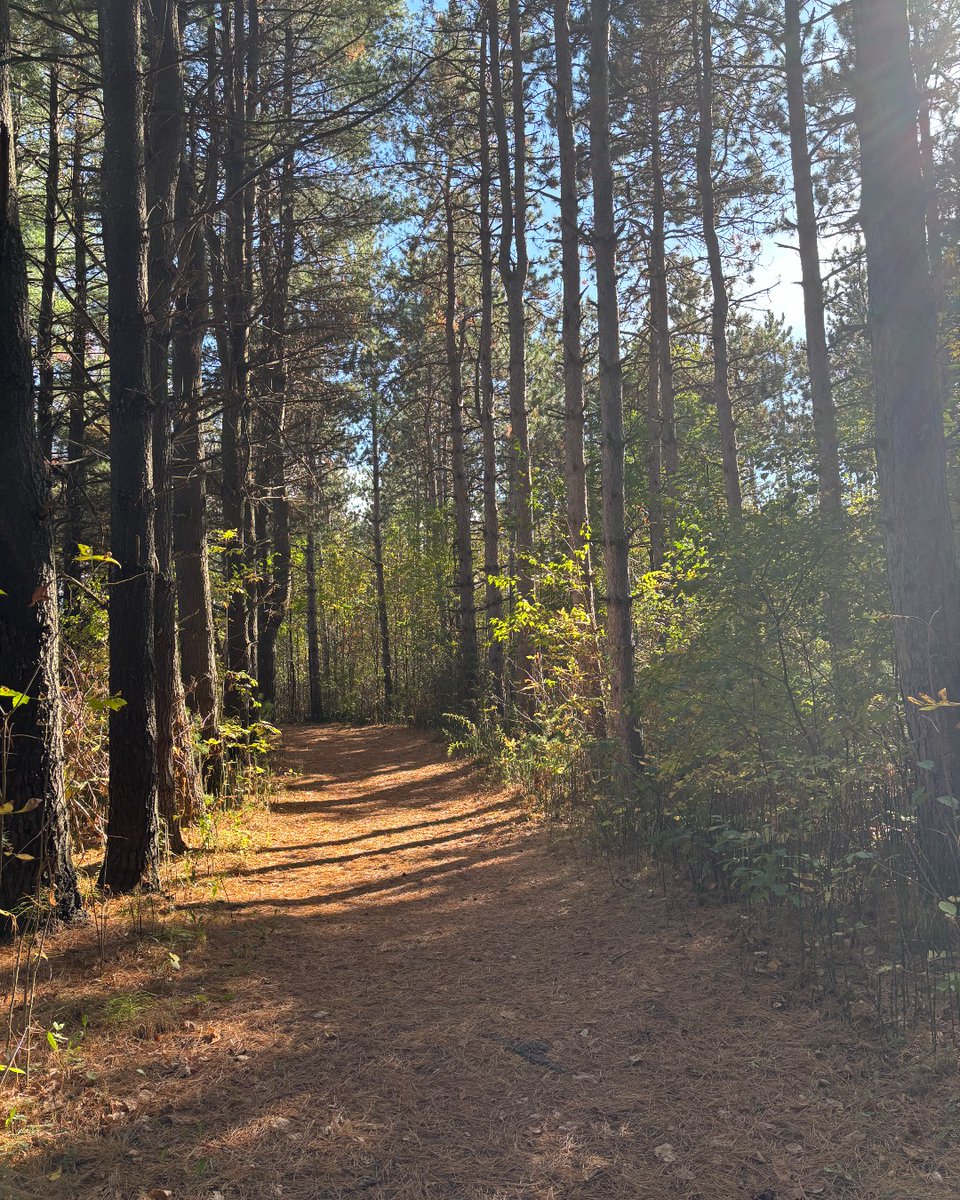 🍂 The trails may be littered with leaves, but that's no invitation to join in!

The best way to hike is to leave no trace. 🚯 
Hold on to your trash until you reach a disposal, or take it home with you. 🚮