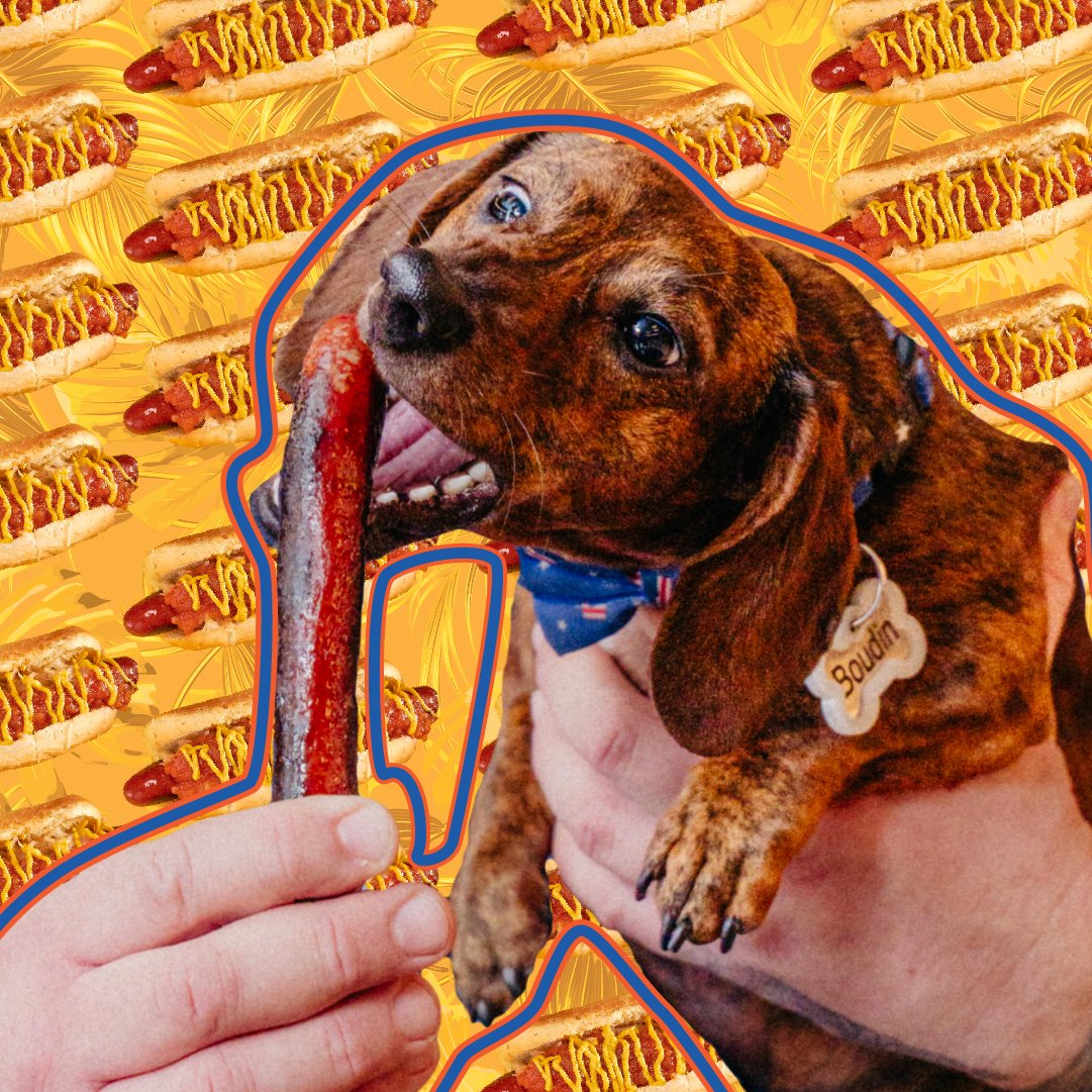 Boudin is here to remind you — it’s always the right time to stock up on Snap-O-Razzo dogs 🌭🔥 Order online today and bring the flavor to your grill.

👉 snaporazzo.com