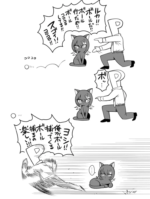 Pルカ(猫) 