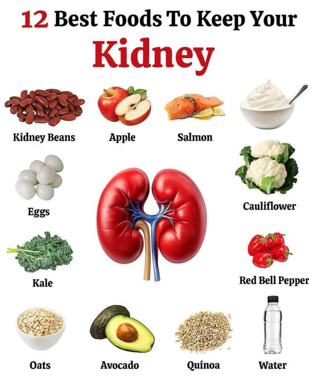 12 best foods for your kidney🍎