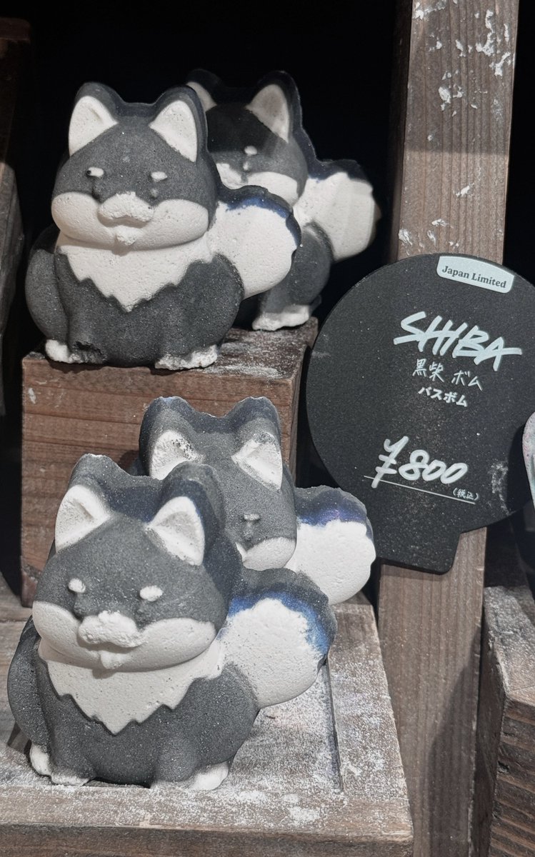 ！！！！！！LUSHで黒いしばいぬのバスボムをみつけた、だいすきなみつばちマーチの香りがして最高；；；；🤍🖤超かわいい......尊