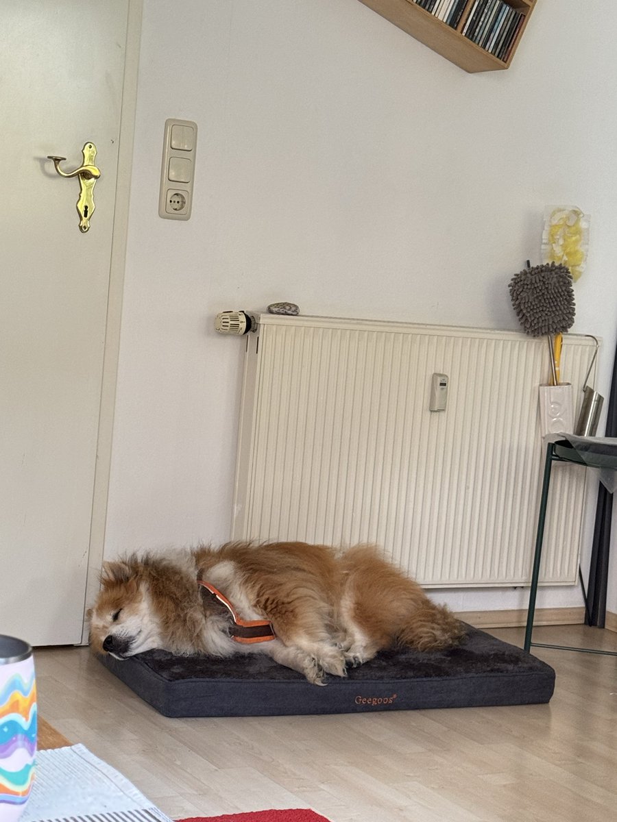 Lieblingsbesuch ❤️❤️❤️
