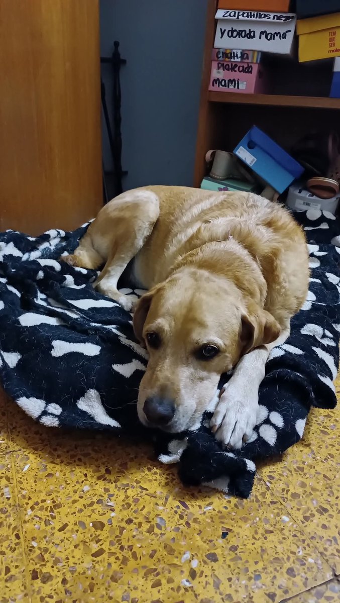 Hasta que Paco aparezca no paramos! Porfa rt a full y estén pendientes!!!