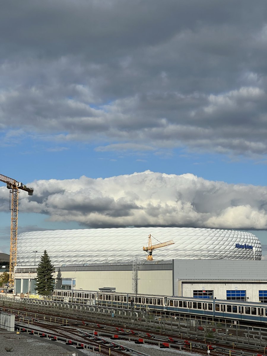 Sieht geisteskrank Scheiße aus