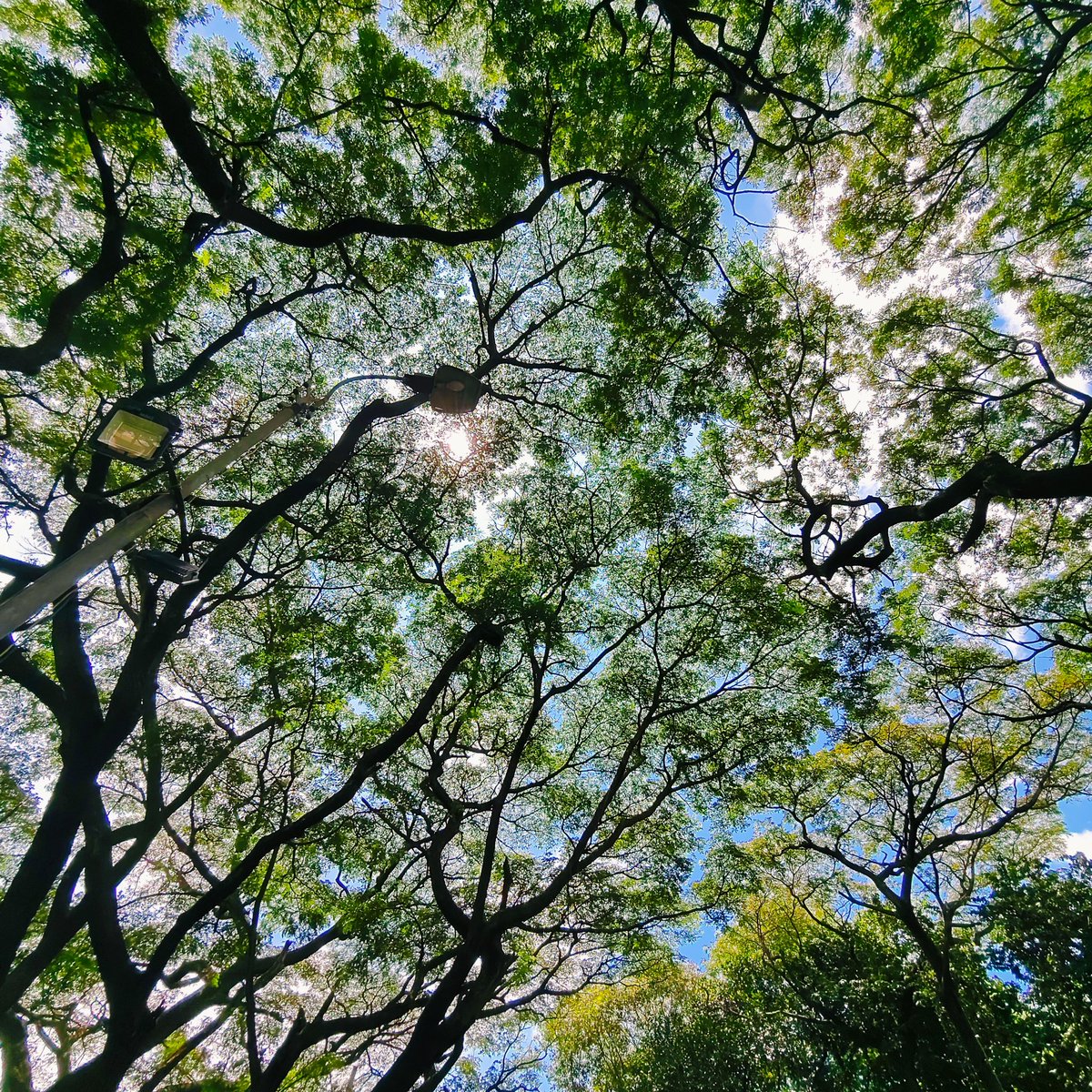 Even I couldn't believe what I captured!