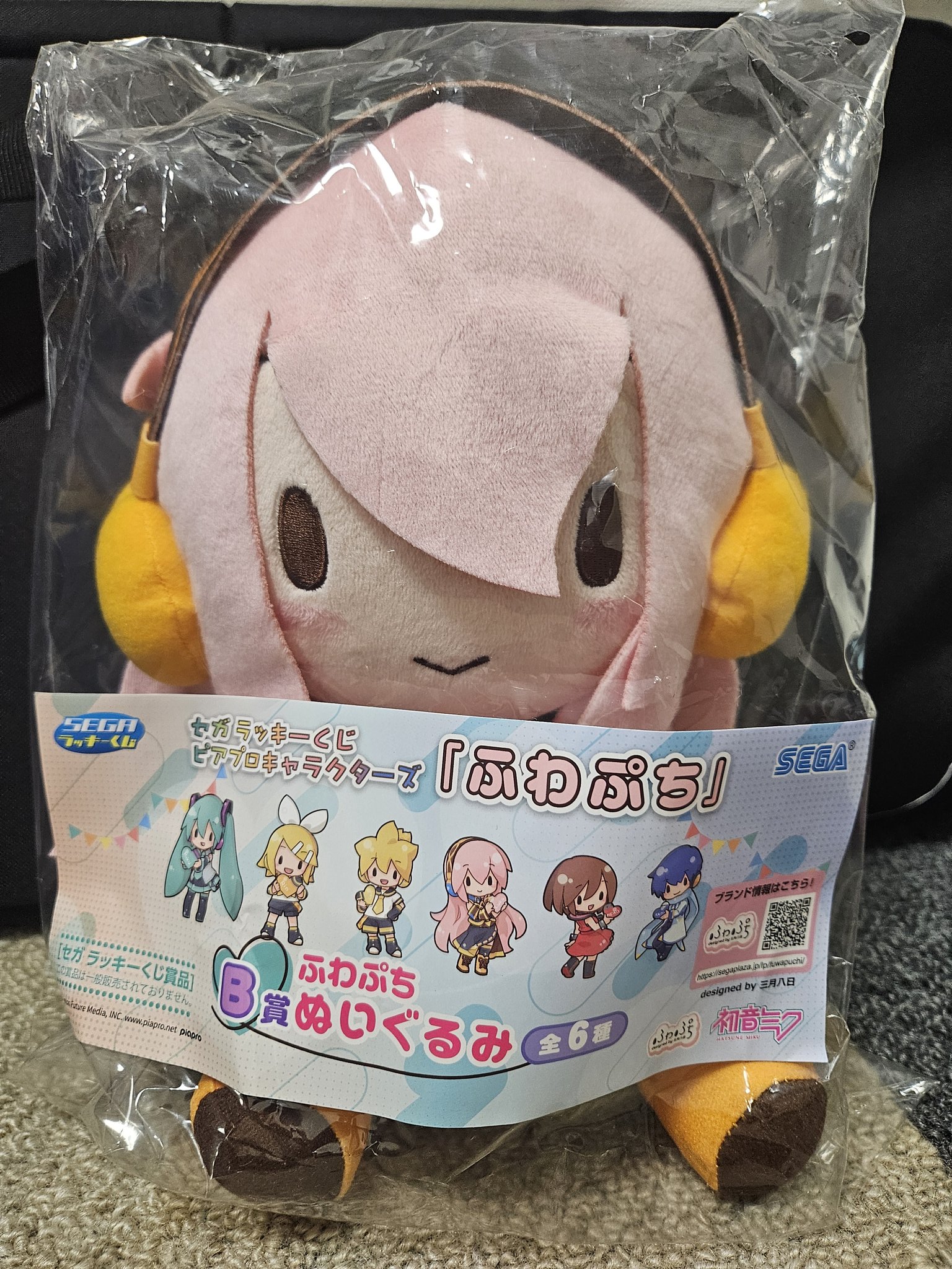 Eveくじ　いぶぬい　⚠29日まで期間限定値下げ中⚠ Eveくじ いぶぬい ⚠29日まで期間限定値下げ中⚠ Eve Arena Tour