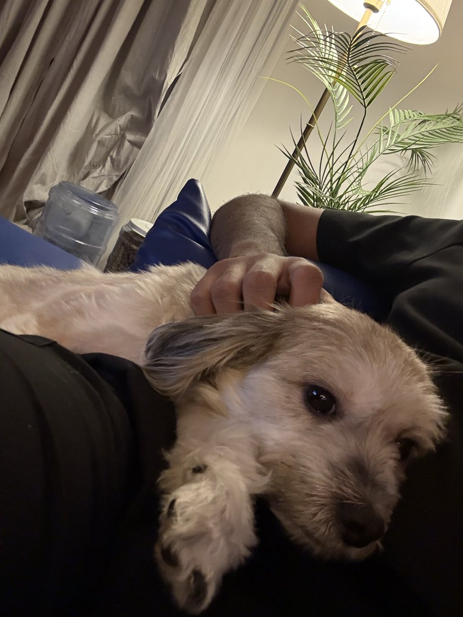 Abdullah 🦋 tweet media