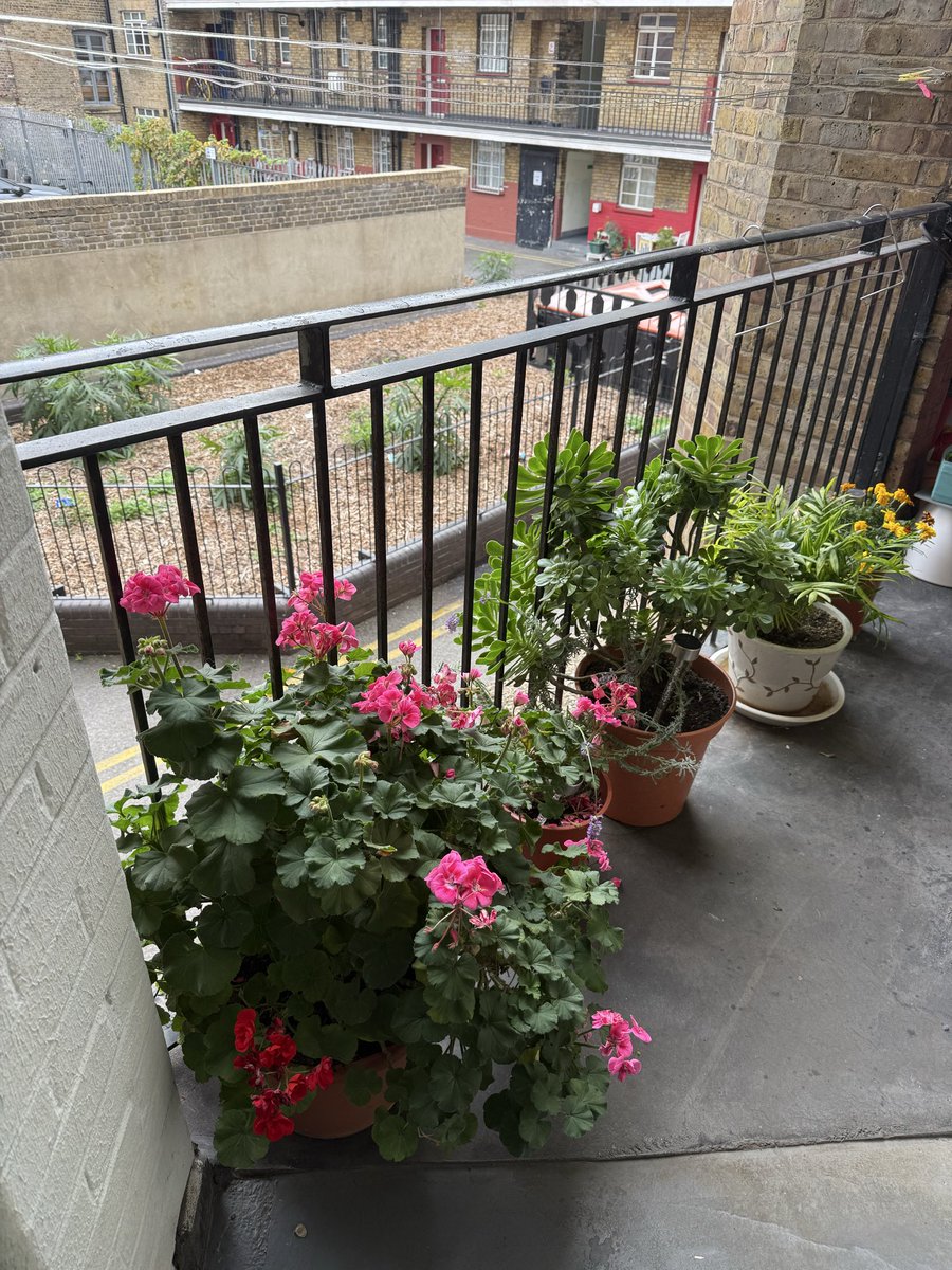 Out with <a href="/KamAdams1/">Kam Adams</a> listening to local residents, concerns around ABS issues. This will be followed up with the relevant teams!. 
Encouraging to see residents bringing life to our estates with plants 🌱 🪴 and greenery that strengthen community spirit. #Hoxton #CommunitySafety