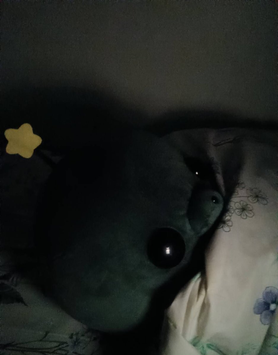 タマは今日も生きています。
どなたかの写真真似
 #教育番組
 #タマ