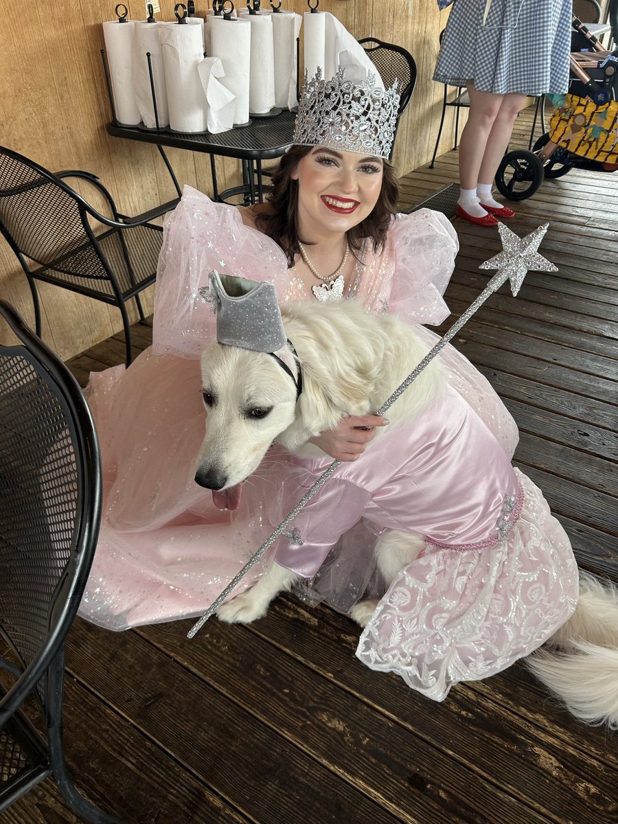 BrittAdams92's tweet image. Follow the yellow brick road. #Wizardofoz #Wicked #ohio #Wizard #Glendathegood #Goodwitch #Witch #frenchie #Dogmom #WickedMovie #WickedMovie