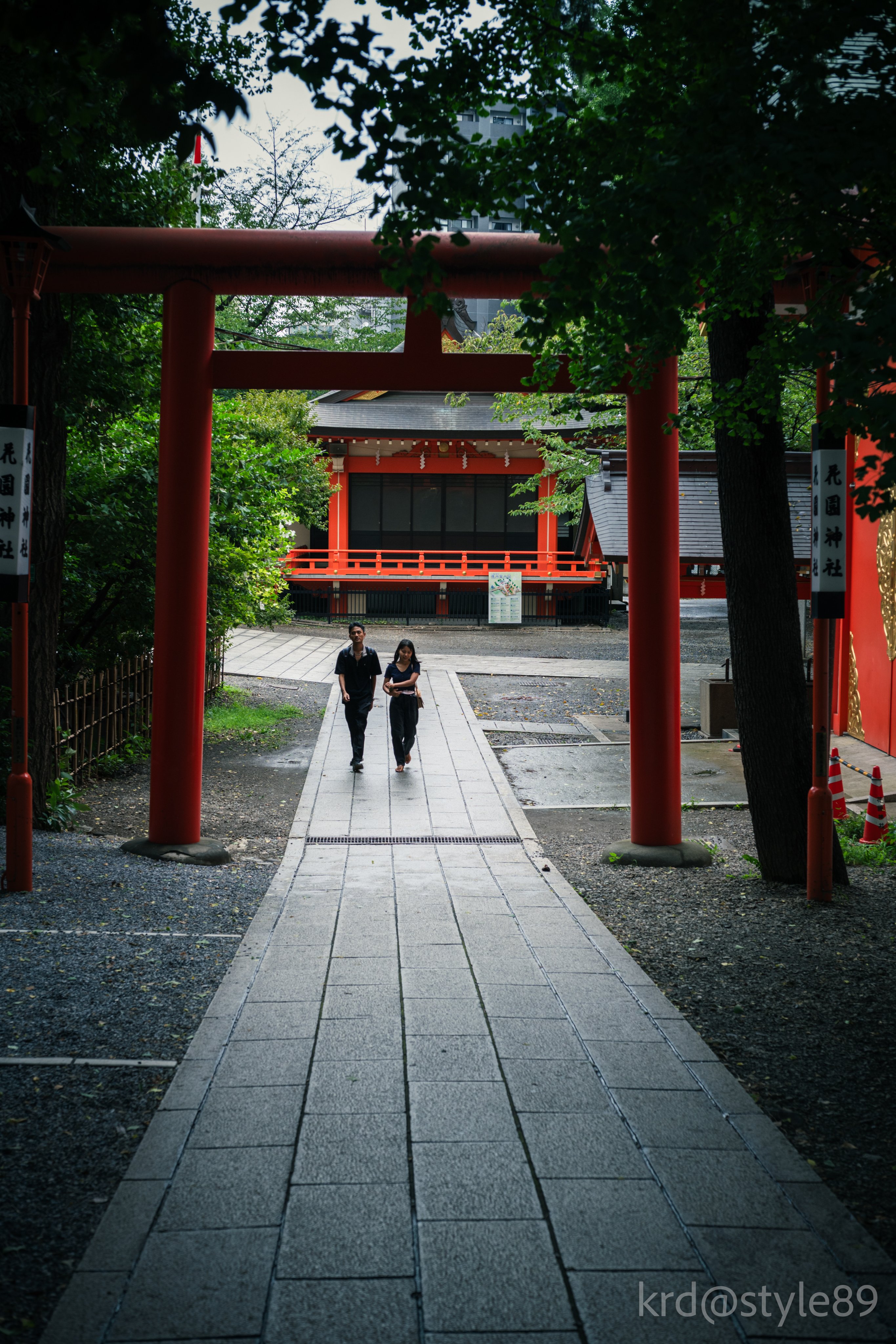 写真撮影の参考にしてください キラテラカラー D-Black ダースブラック | G SELECT ガモウの理