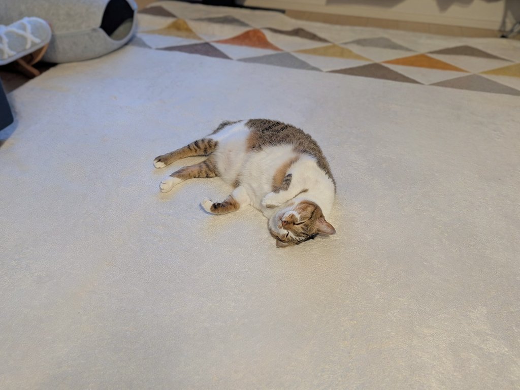 ただいま