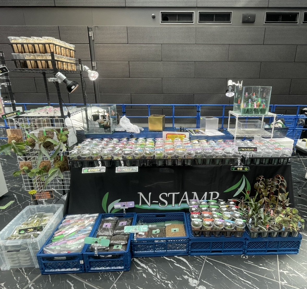 kyo-@N-stamp (@kyo41075953747) / Posts / X