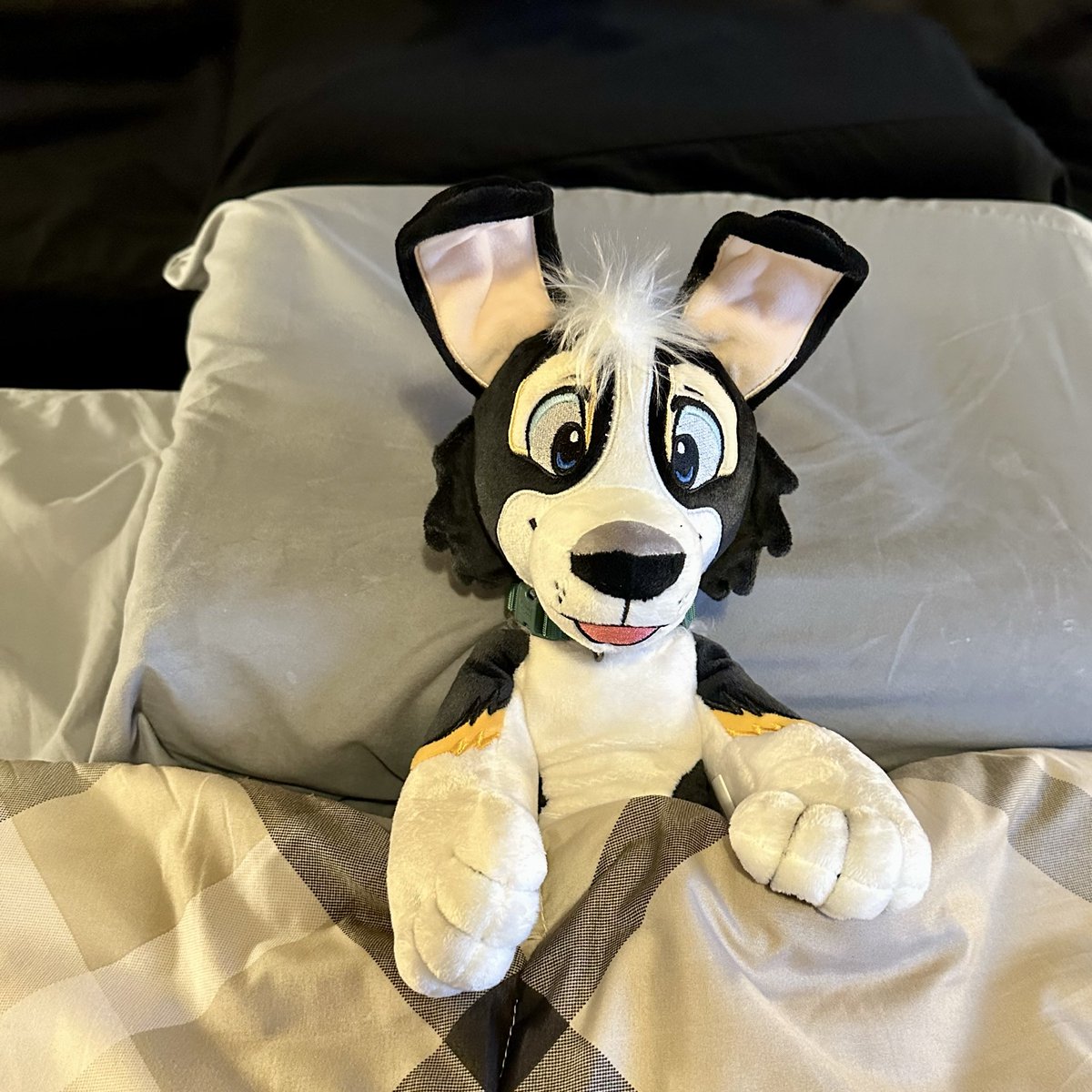 Crashed last night after a long day of travel. 
Will post some adventure photos later.