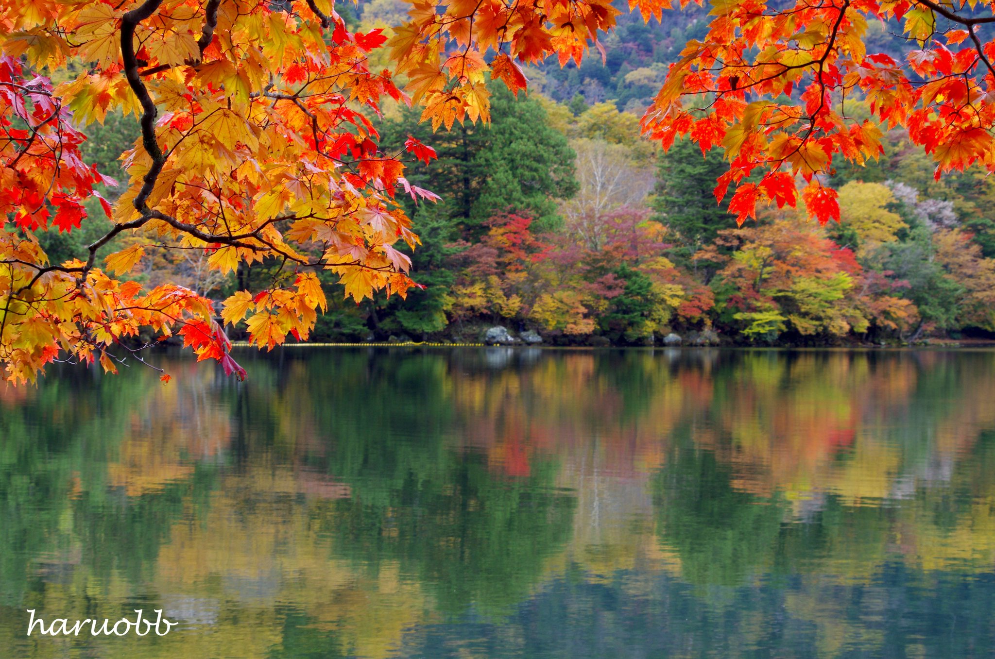 haruobb＠Photos on X: 