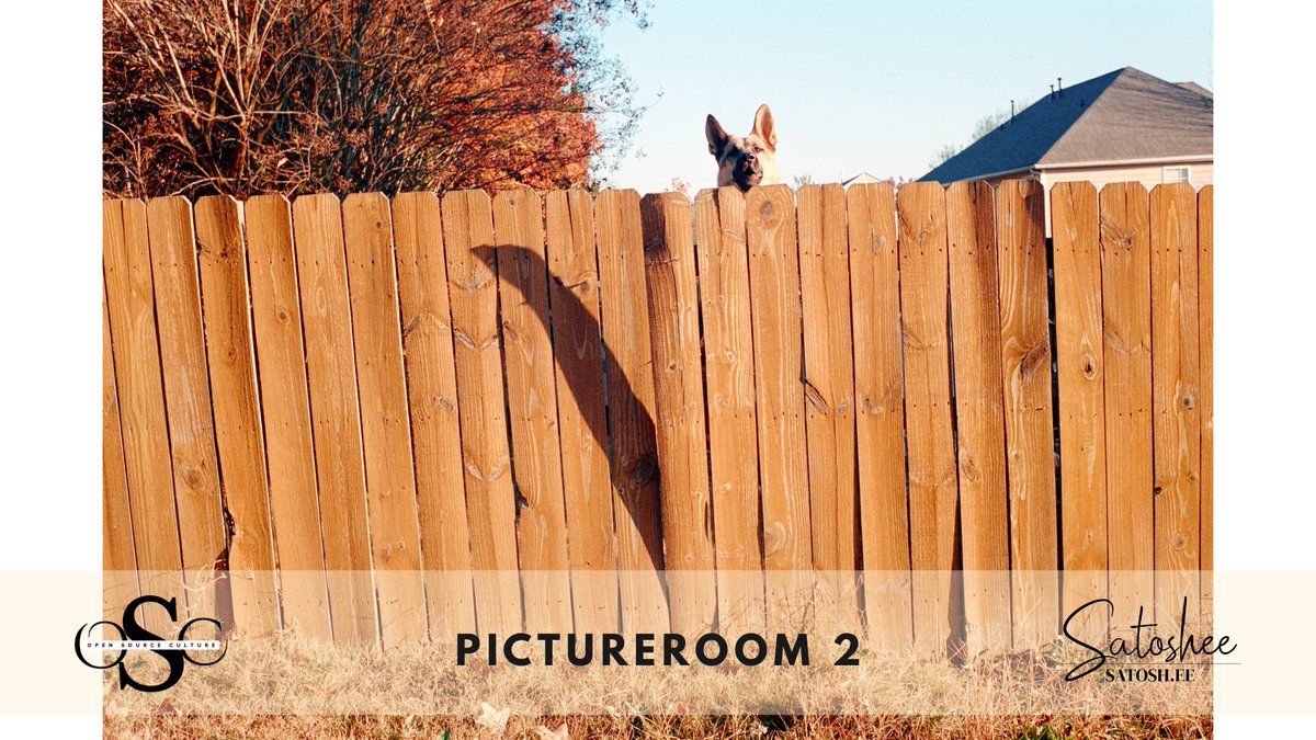 satoshee21's tweet image. Open Source Culture Creator Contest #2
📸 ARTIST SPOTLIGHT: PictureRoom
He submitted 3 photographs to the contest to be featured in the Bitcoin Wall Calendar 2026.