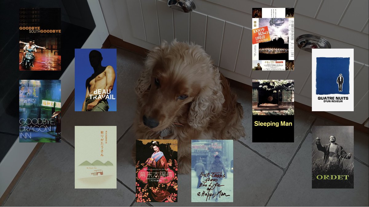 Champari tweet media