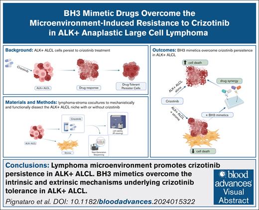 Blood Journal (@bloodjournal) on Twitter photo The combination of crizotinib and BH3 mimetic drugs is synergistic in ALK+ ALCL and overcomes the protection mediated by stromal cells. Read in Blood Advances: ow.ly/Nw5H50XbNAQ The combination of crizotinib and BH3 mimetic drugs is synergistic in ALK+ ALCL and overcomes the protection mediated by stromal cells. Read in Blood Advances: ow.ly/Nw5H50XbNAQ