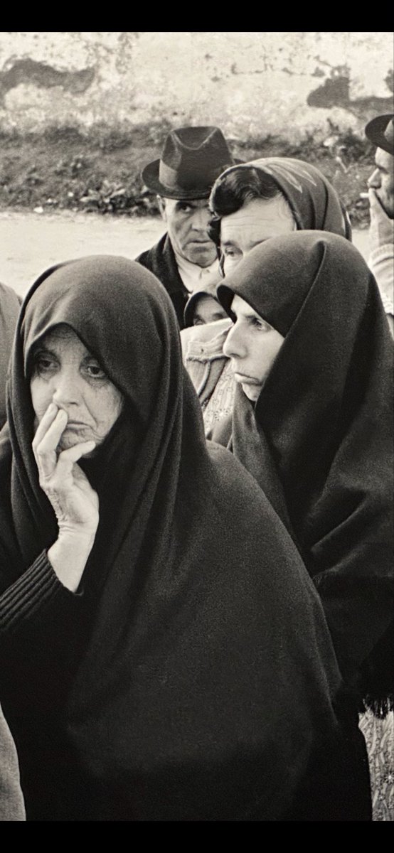 Francisco Seixas da Costa tweet media