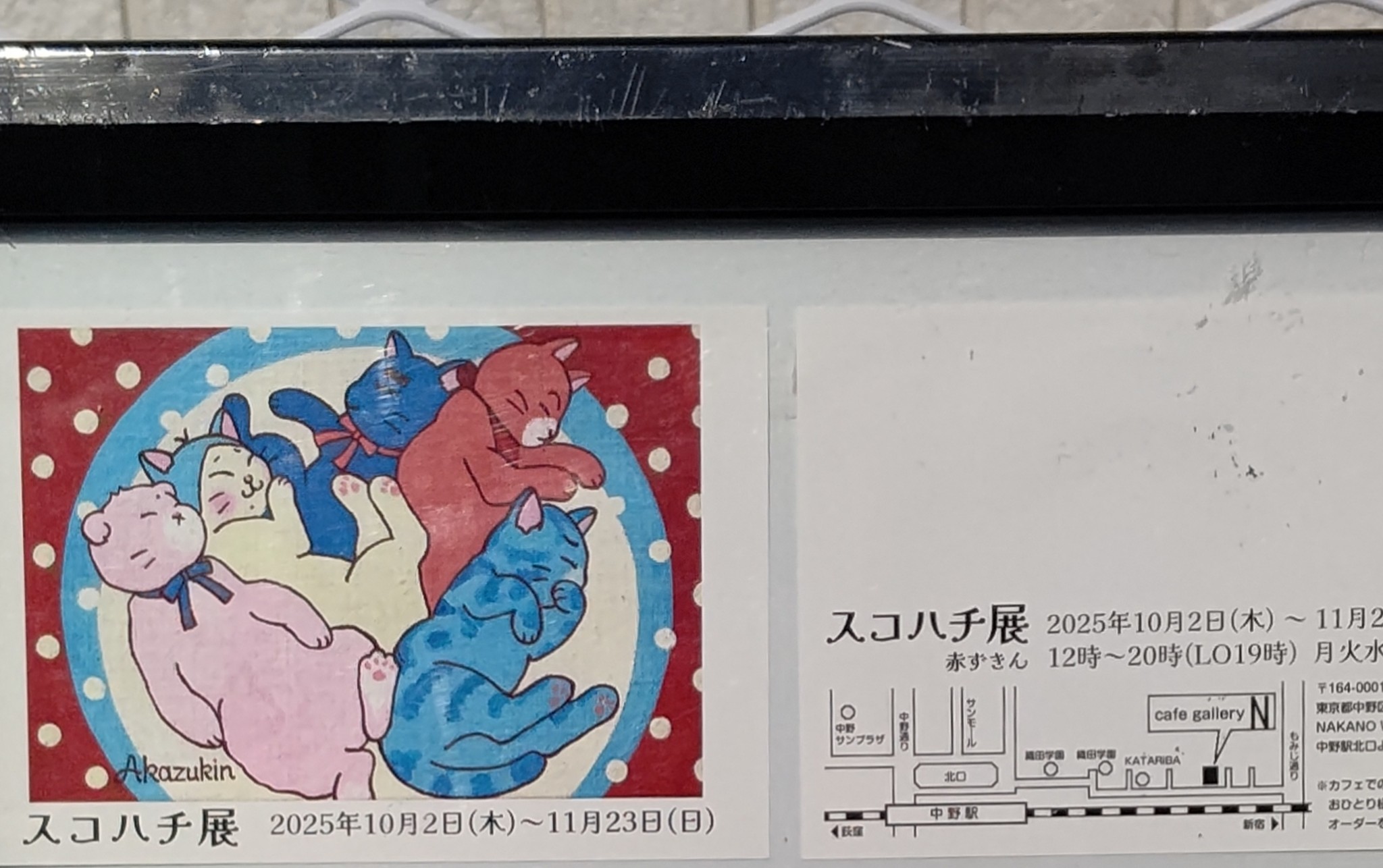 赤猫ころ様 猫のしっぽ on X: 