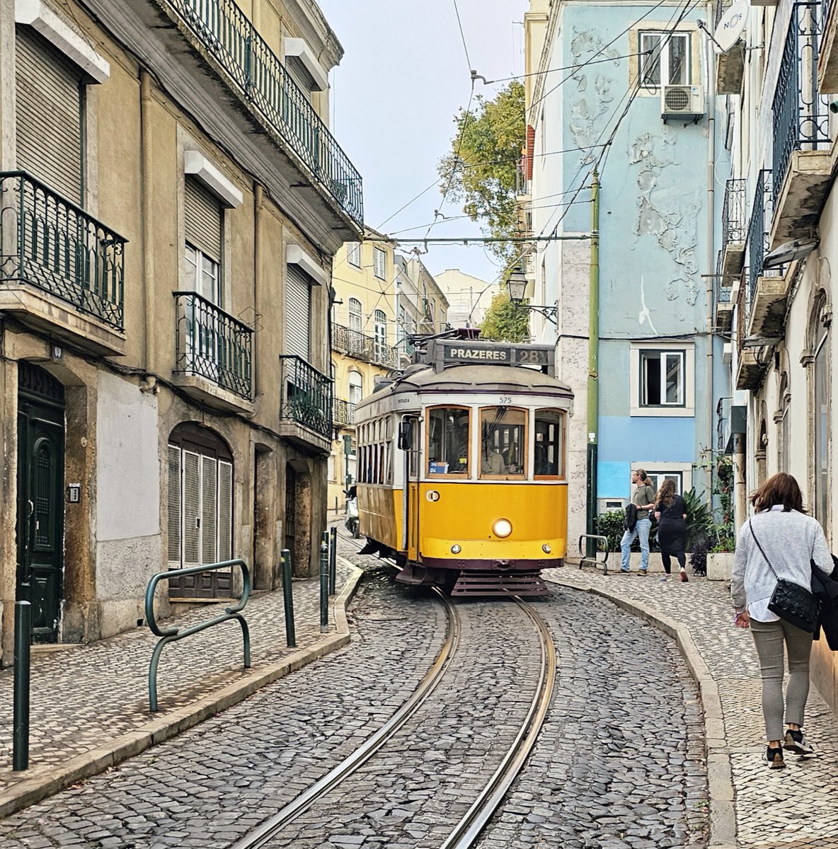 Descubra a magia de Alfama no Outono! 🍂🍷 alfamashop.blogspot.com/2025/10/descub… 
#OutonoEmLisboa #LisbonAutumn #AutumnInLisbon #FallInLisbon #LisboaNoOutono #LisbonColors #AutumnVibes #GoldenLisbon