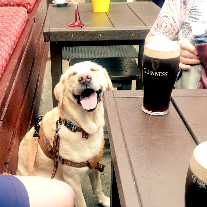 The same reaction I have