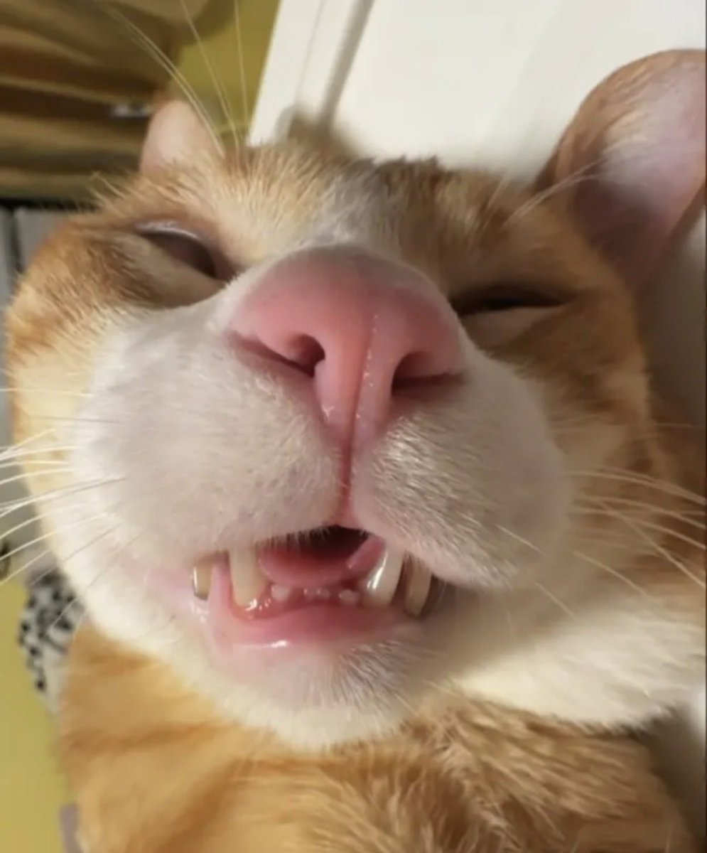 Cape 👊 tweet media