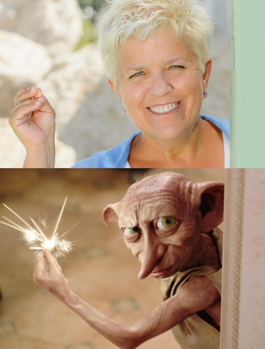 Joséphine Delamarre (Ange gardien) 😇
Dobby (Elfe libre) ⚡️🧦
= L'équipe de choc pour une protection optimale 💥

Et pas de préférence, comme dit #HarryPotter "On prend le tout" ❗
Vous êtes d'accord ❓