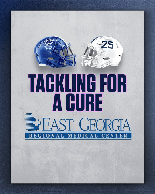 Georgia Southern Sports Network tweet media