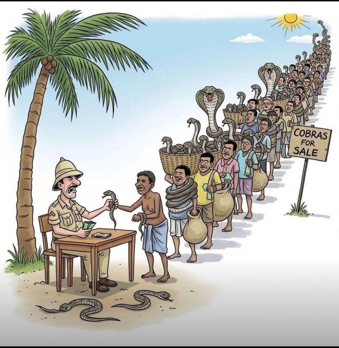 THE COBRA EFFECT

During the British Raj, officials grew concerned about the rising number of venomous cobras in Delhi. To tackle the issue, they introduced a bounty for every dead snake.

At first, the policy seemed successful, many cobras were killed.

But soon, an unintended