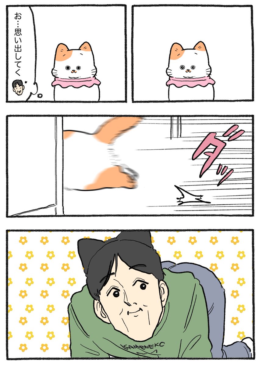 ねこおじ様 ねこに転生したおじさん。その927