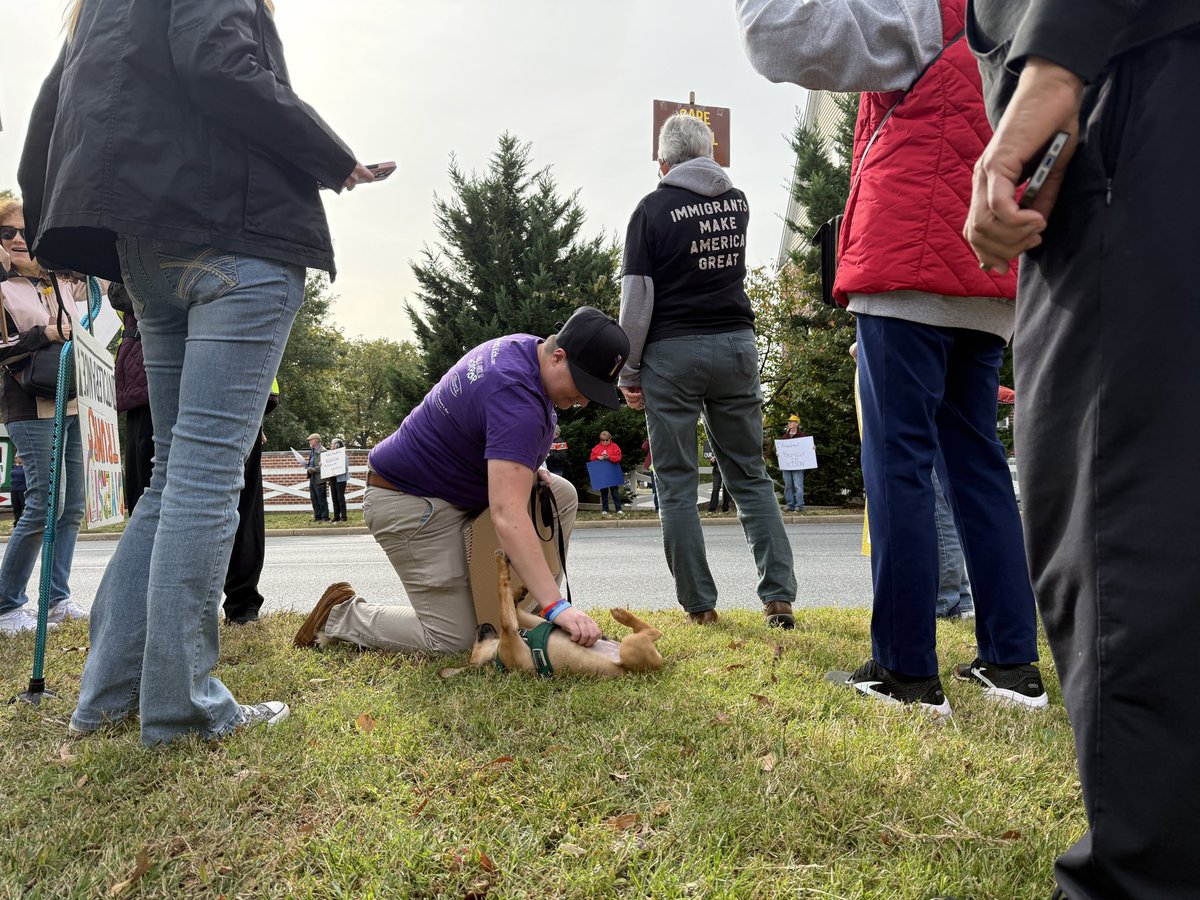 Jake Tiger tweet media