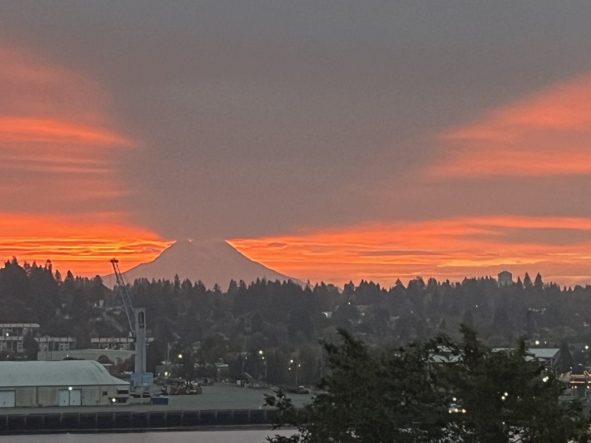 Tom Banse tweet media