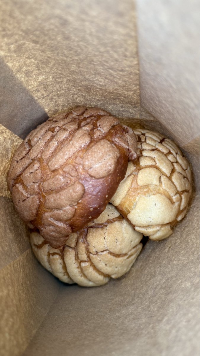 MaferMora_'s tweet photo. Tengo días en los que tengo complejo de superioridad, hoy es uno de esos 

Tengo una bolsa llena de conchas de vainilla y claro que mi mañana es mejor que la tuya https://t.co/qVOt2eg7Qf