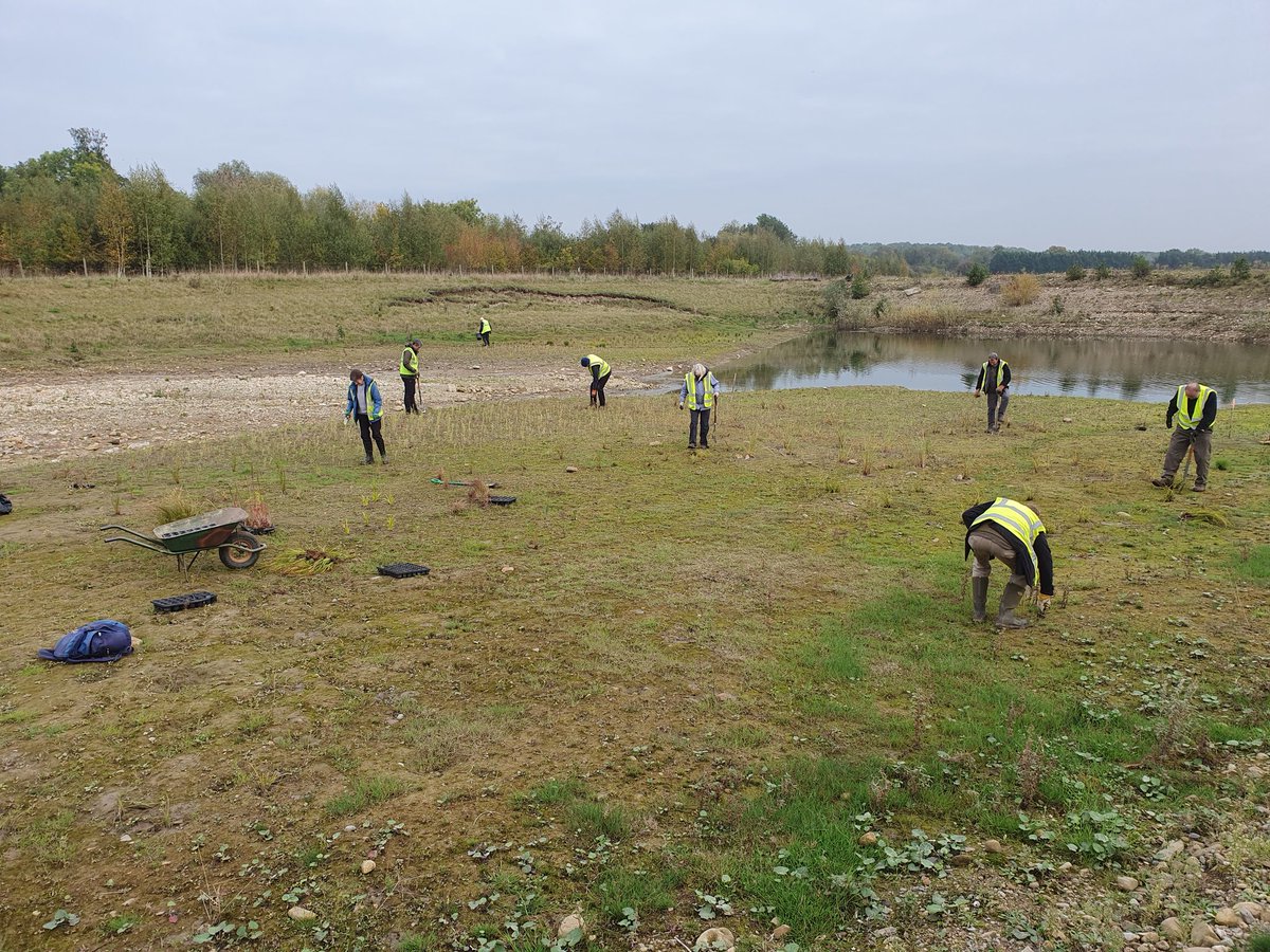 highbatts's tweet photo. Many thanks once again to a great team of Muck-in volunteers, who did a couple of solid hours raking, followed by more planting in Penncroft. https://t.co/Q5vj67wjQF
