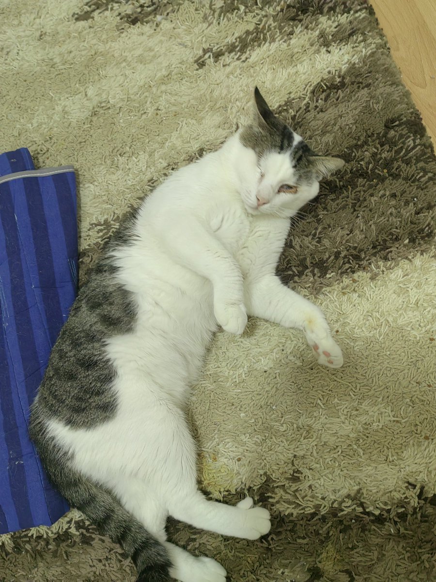 Kendini yerlere atıyor yuvam da yuvam diye